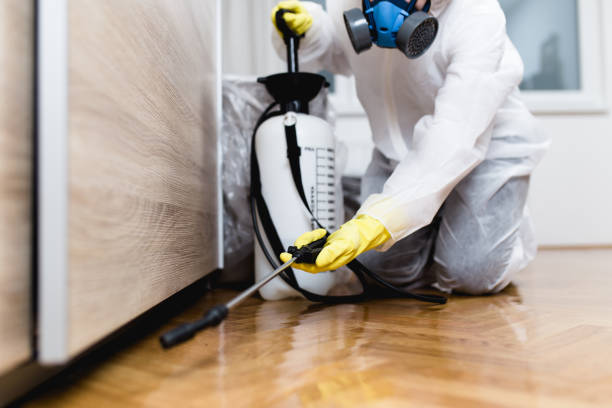  Ponder, TX Pest Control Pros