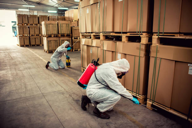 Best Wildlife Control Services  in Ponder, TX