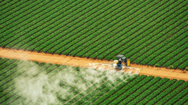 Best Commercial Pest Control Services  in Ponder, TX