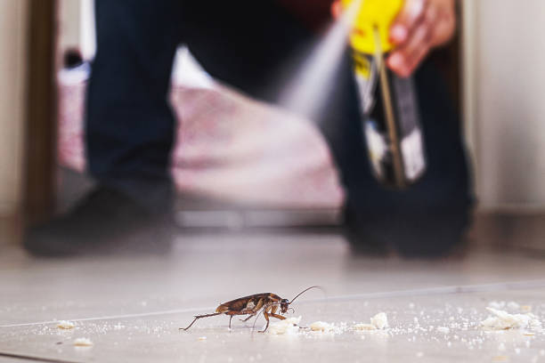 Pest Control Cost in Ponder, TX